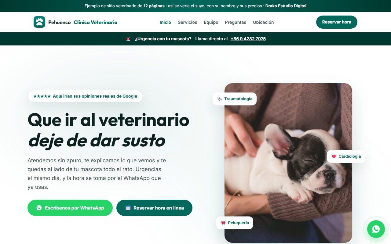 Vista de la demo web Pehuenco Clínica Veterinaria